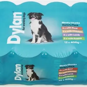 dyland working dog.webp