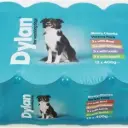 dyland working dog.webp