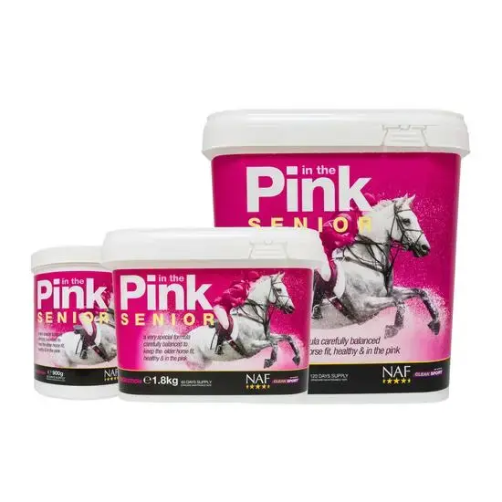 in the pink senior.webp